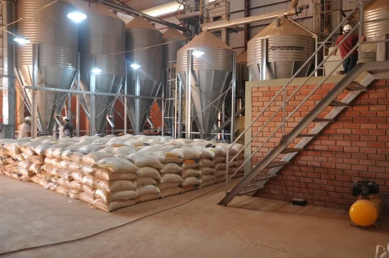Fábrica de ração – foto 4 da obra