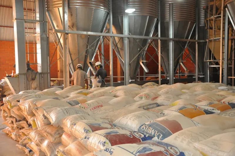 Fábrica de ração – foto 5 da obra