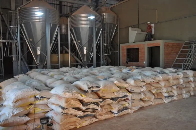 Fábrica de ração – foto 7 da obra